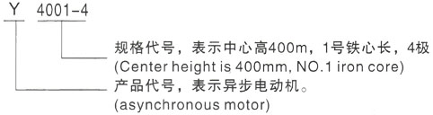 西安泰富西玛Y系列(H355-1000)高压户外防腐三相异步电机型号说明