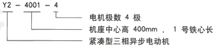 YR系列(H355-1000)高压户外防腐三相异步电机西安西玛电机型号说明